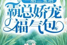 《一胎三宝后，霸总娇宠福气包》小说章节列表免费试读，陆北城江如意小说在线阅读-个性文学