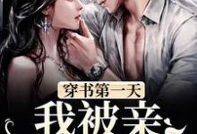 小说《穿书第一天,我被亲妹妹抢亲》章节免费阅读-个性文学