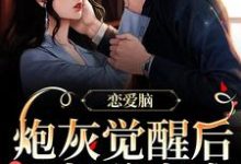 小说《恋爱脑炮灰觉醒后,只想分家产》章节免费阅读-个性文学