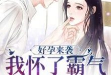 主人公叫陈晓莹顾城的小说好孕来袭:我怀了霸气军官的崽子在线阅读章节-个性文学