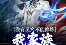 已完结小说《没有灵窍不能修炼?我家族自有定论》章节在线阅读-个性文学