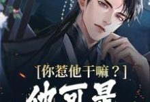 你惹他干嘛？他可是万古帝子章节免费在线阅读，叶尘完结版-个性文学