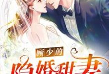 寻找顾少的隐婚甜妻小说的最新更新章节-个性文学