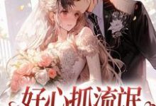 好心抓流氓,结果抓错人了小说全文哪里可以免费看?-个性文学