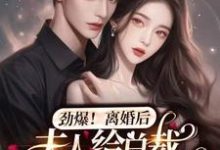 已完结小说《劲爆，离婚后夫人给总裁挂男科了》最新章节-个性文学