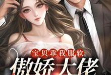 宝贝乖我服软,傲娇大佬他沦陷了章节免费在线阅读,裴肆南鸢裴少完结版-个性文学