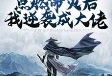 完结版《辅助角色：点燃命火后我逆袭成大佬》在线免费阅读-个性文学