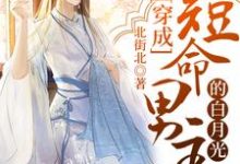 穿成短命男主的白月光小说的免费阅读版本在哪里可以找到？-个性文学