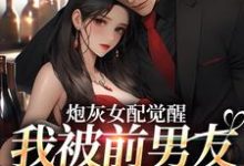 陆念宜沈洲淮小说炮灰女配觉醒:我被前男友强制爱了在线阅读章节-个性文学