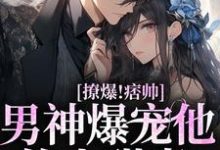 已完结小说《撩爆!痞帅男神爆宠他的小甜妻》章节免费阅读-个性文学