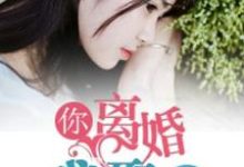 哪里能找到你离婚，我娶你小说的全部章节？-个性文学