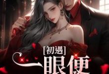 完结版《初遇:一眼便定下终生》章节目录在线阅读-个性文学