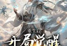 小说《重生后,开局觉醒氪命系统》在线章节阅读-个性文学