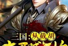 完结版《三国:从截胡大耳贼开始》在线免费阅读-个性文学