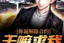 你说解除合约,干嘛求我回去小说的无弹窗阅读体验,寻找免费阅读网站-个性文学