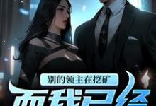 免费看别的领主在挖矿，而我已经开飞艇小说的网站有哪些？-个性文学