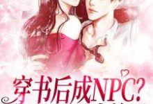 完结版《穿书后成NPC?我天天调戏美男》在线免费阅读-个性文学