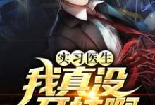 实习医生:我真没开挂啊小说全文阅读需要付费吗?寻找免费资源-个性文学