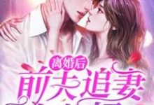 完结版《离婚后，前夫追妻火葬场》章节阅读-个性文学
