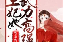 已完结小说《农家悍妻:王妃她武力高强》在线章节阅读-个性文学