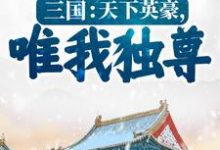 《三国:天下英豪,唯我独尊!》小说章节在线试读,《三国:天下英豪,唯我独尊!》最新章节目录-个性文学