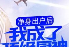 哪里能找到净身出户后,我成了顶级厨神小说的最新更新和免费章节?-个性文学