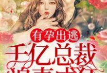 求有孕出逃:千亿总裁追妻成狂小说的全文免费阅读链接-个性文学