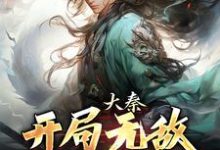 大秦:开局无敌,爆爽横推!免费阅读,大秦:开局无敌,爆爽横推!章节在线阅读-个性文学