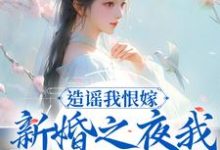 造谣我恨嫁？新婚之夜我火烧你府院这本小说怎么样？免费在线阅读试试-个性文学