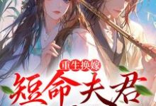 《重生换嫁：短命夫君归我喽》小说沈岁安陆渊章节章节免费在线阅读-个性文学