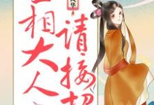 庶女风华：丞相大人请接招这本小说完结了吗？免费查看最新章节-个性文学