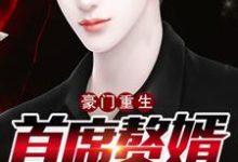 哪里能找到豪门重生首席赘婿小说的最新更新和免费章节？-个性文学