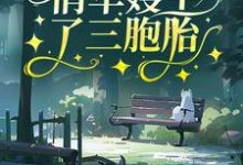 完结版《七零:俏军嫂生了三胞胎》章节阅读-个性文学