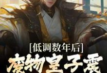 低调数年后,废物皇子震惊朝堂大佬小说,低调数年后,废物皇子震惊朝堂大佬免费阅读-个性文学