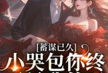 在线免费阅读蓄谋已久，小哭包你终于是我的了完整小说-个性文学