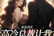 哪里能找到暗恋成真:高冷总裁让我给他当老婆小说的最新更新和免费章节?-个性文学