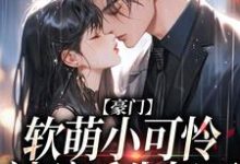 豪门:软萌小可怜被骗后失忆了小说的所有章节都能在哪里免费读到?-个性文学