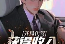 求开局代驾,获得收入十万倍奖励!小说的全文免费阅读链接-个性文学