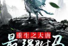 哪里能找到重生之大唐最强驸马小说的全部章节？-个性文学