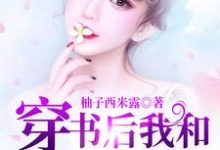 穿书后我和反派大佬狼狈为奸免费阅读,穿书后我和反派大佬狼狈为奸苏婉林慕辰-个性文学