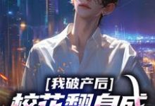 求我破产后，校花翻身成总裁要养我？小说免费资源-个性文学