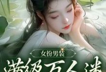 琳琅小说完结版在线阅读,女扮男装,满级万人迷被迫修罗免费看-个性文学