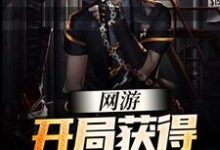 网游:开局获得SSS级天赋小说的免费电子版在哪里可以下载或阅读?-个性文学