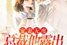 已完结小说《宠妻无度:总裁他露出狐狸尾巴了》章节免费阅读-个性文学