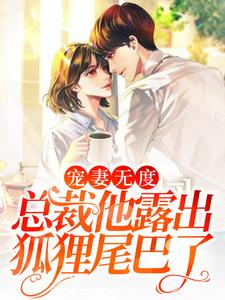 已完结小说《宠妻无度：总裁他露出狐狸尾巴了》章节免费阅读