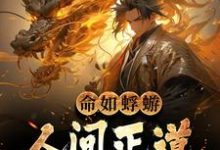 已完结小说《命如蜉蝣：人间正道是长生》最新章节-个性文学