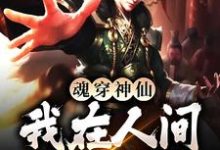 魂穿神仙，我在人间装疯卖傻许修心小说大结局免费试读-个性文学