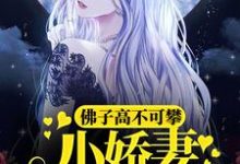 求推荐可以免费阅读佛子高不可攀,小娇妻她怂了小说的网站-个性文学