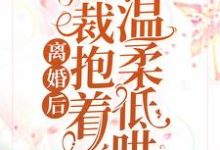 厉柏琛夏千歌小说离婚后,总裁抱着前妻温柔低哄在线阅读章节-个性文学