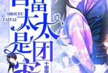 首富太太是团宠小说,首富太太是团宠免费阅读-个性文学